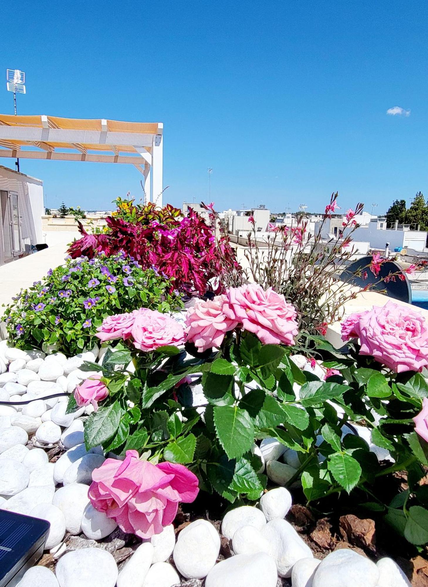 Aquamarina Rooms Porto Cesareo Exterior photo